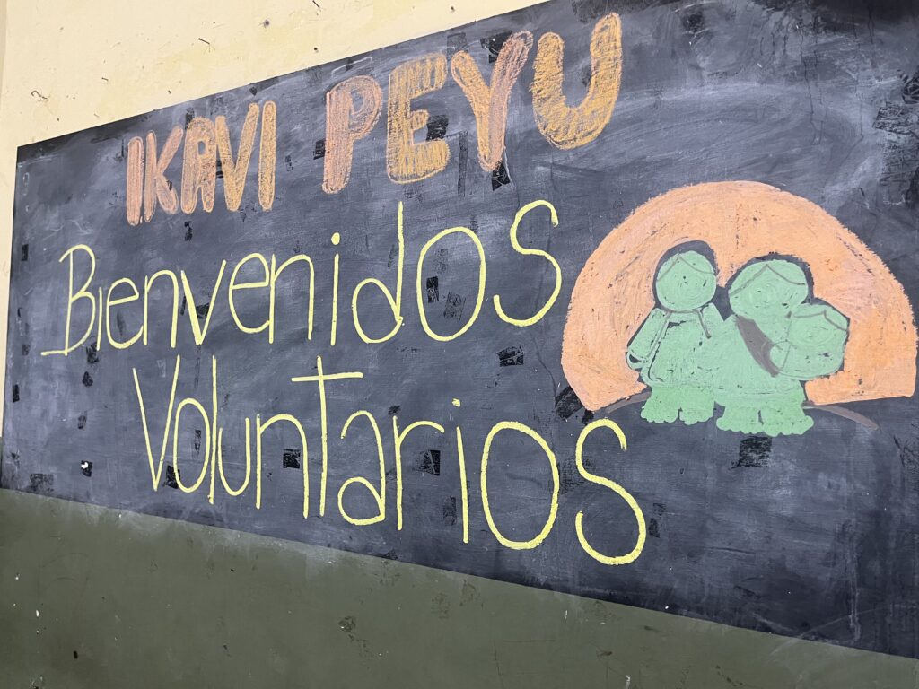 Ikavi Peyu (Bienvenidos voluntarios en guaraní)