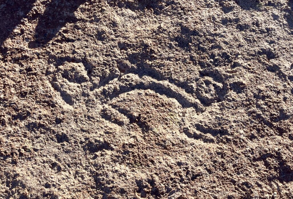 Petroglifo representando a un mono en los alrededores del volcán Galán