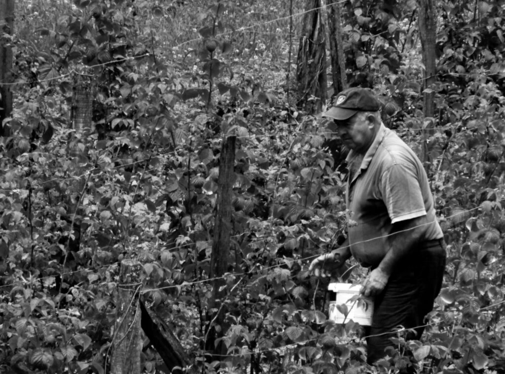 Agricultor en el parque nacional de Tara