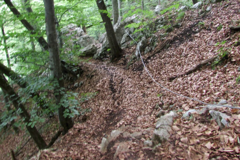 Pasamanos en las rutas del parque natural de Tara