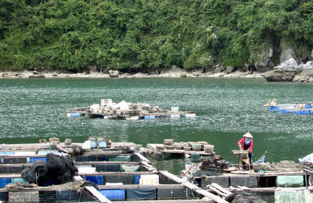 Isla de Cat Ba