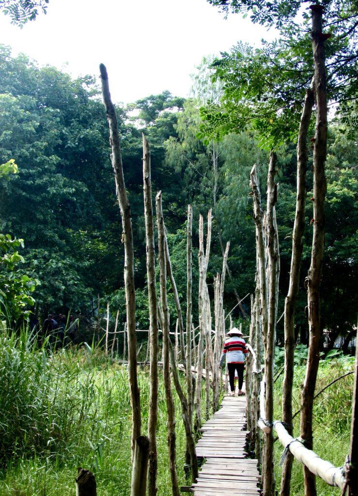 Visitando el delta del Mekong durante nuestro viaje a Vietnam