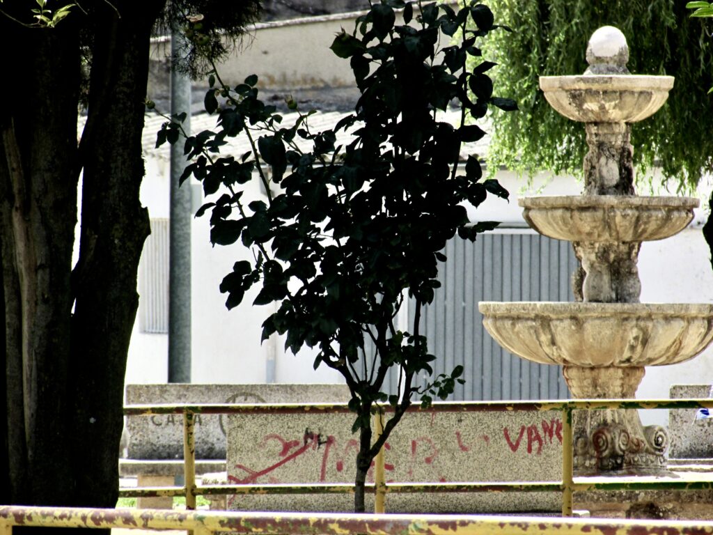 El parque de el Viti