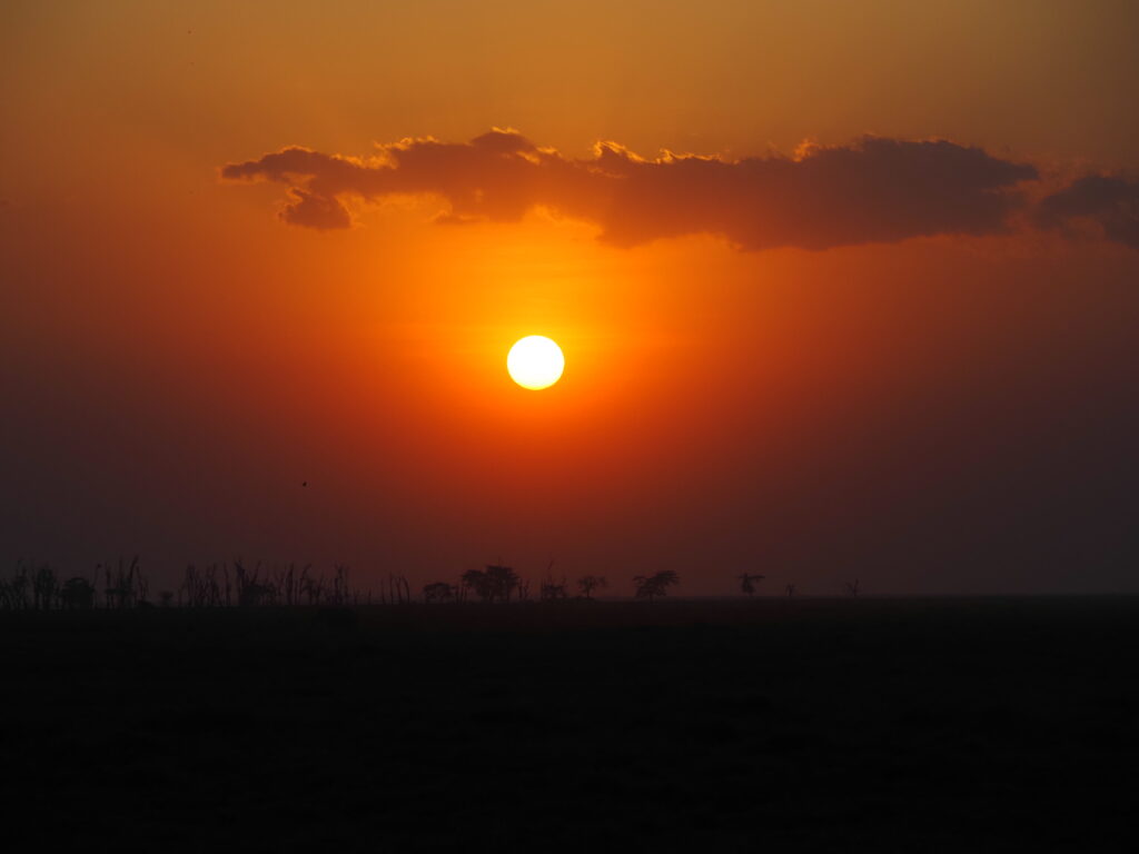 Atardecer en Amboseli