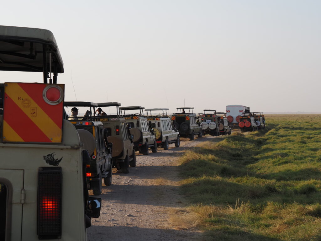 Manada de jeeps en Amboseli