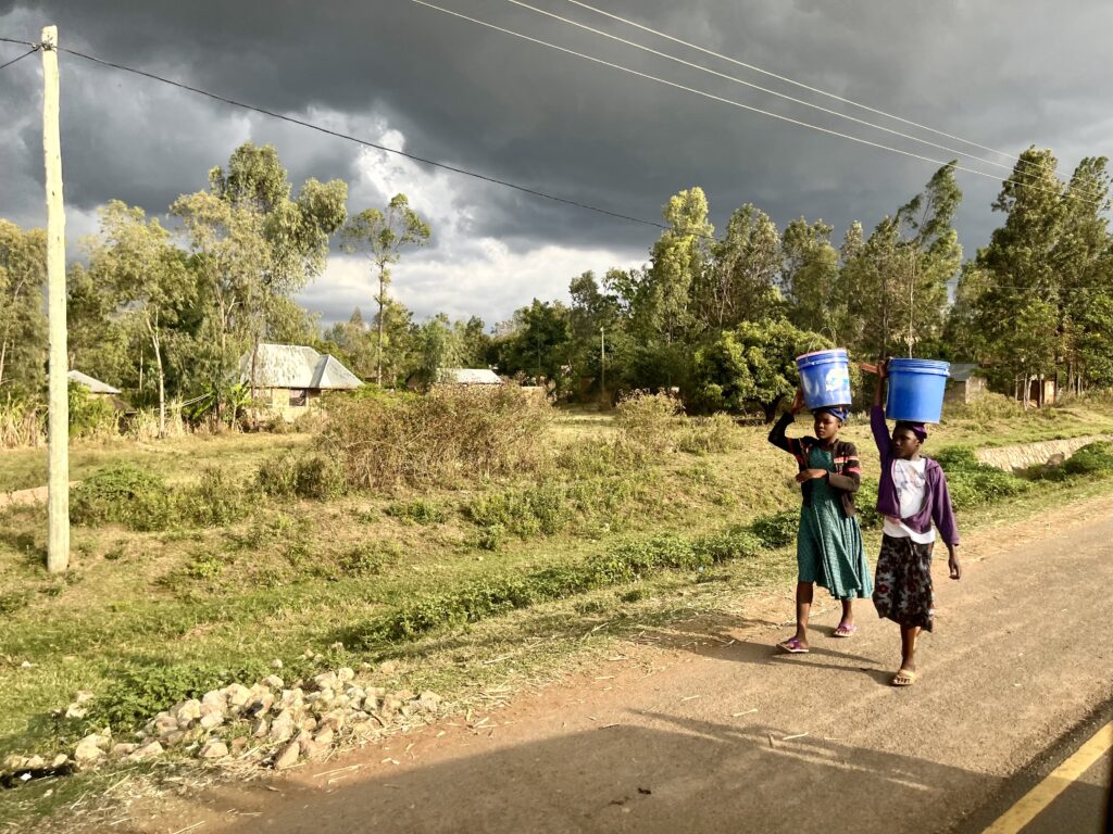 Caminos de Tanzania