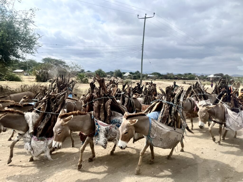 Transporte de madera en los alrededores del Kilimanjaro