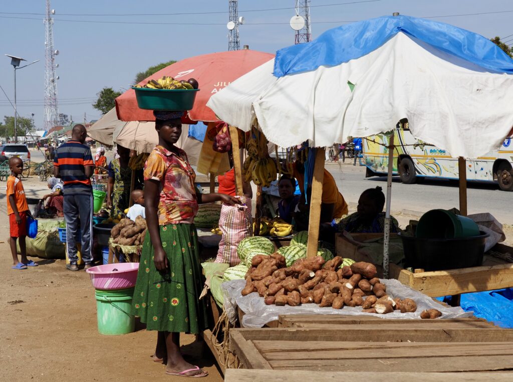 Haciendo la compra en el mercado de Lamadi