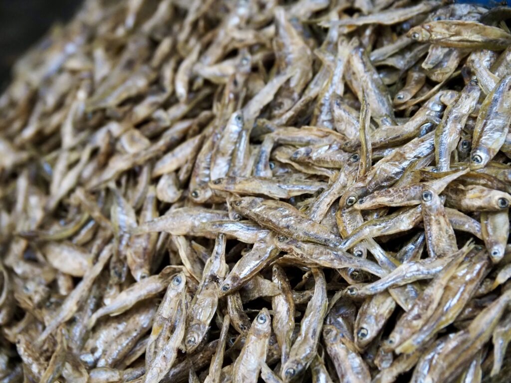 Pescado en el mercado de Lamadi