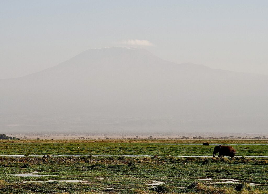 El monte Kilimanjaro desde el parque nacional de Amboseli