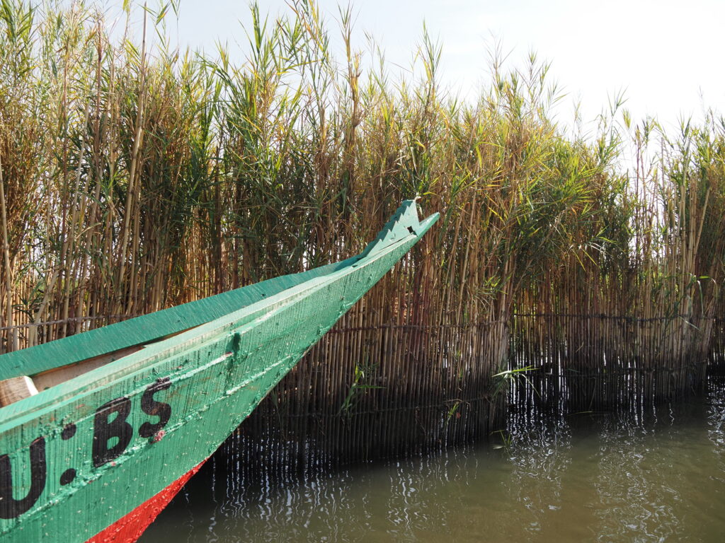 Trampas de pesca en el lago Victoria