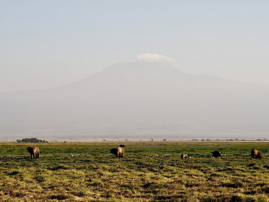 El monte Kilimanjaro desde el parque nacional de Amboseli