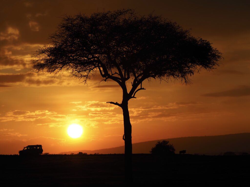 Amanecer en el Masai Mara