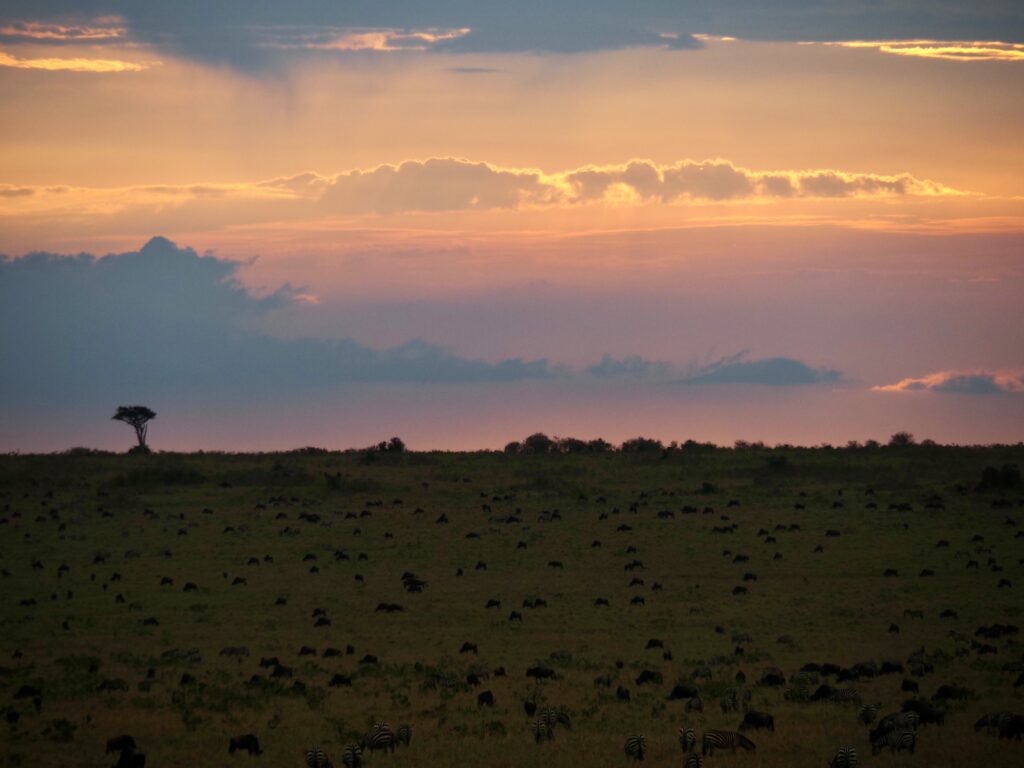 Atardecer en Masai Mara