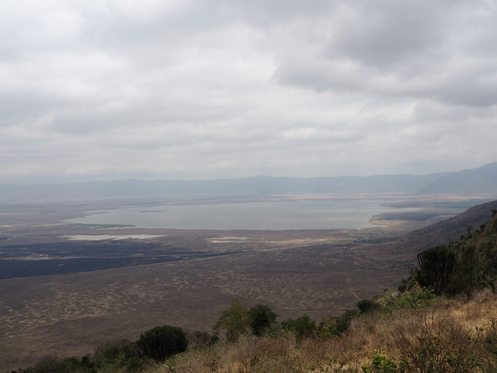 Cráter del Ngorongoro