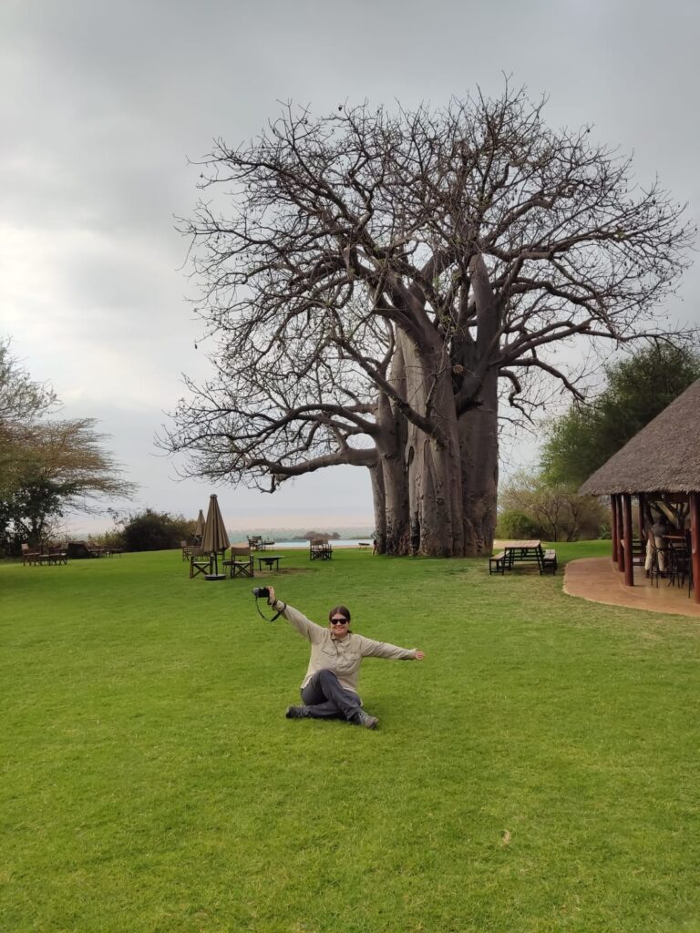 Baobab en los alrededores del lago Manyara