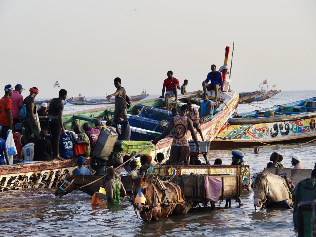 Legada de los pescadores a Mbour