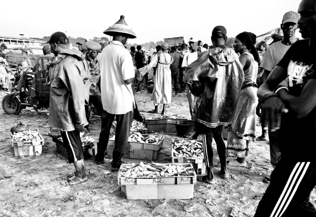 Repartiendo la captura tras la llegada de pescadores a mbour