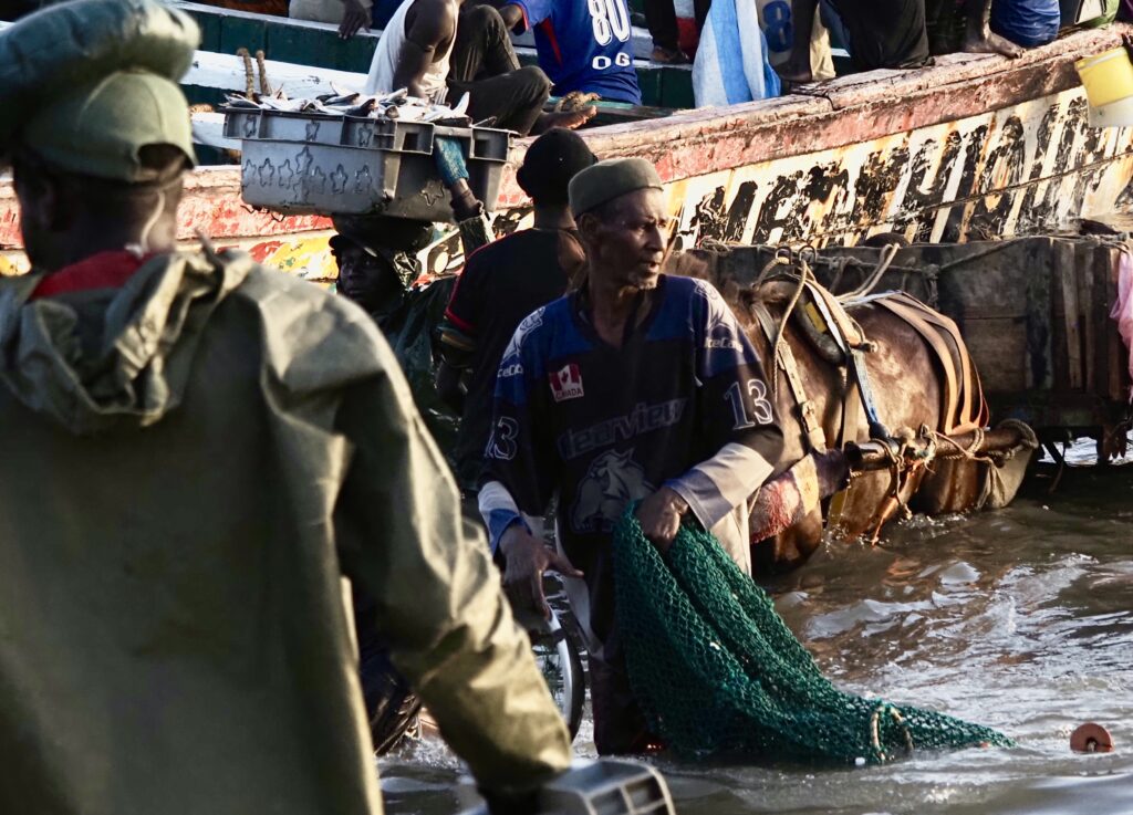 Descarga de los barcos