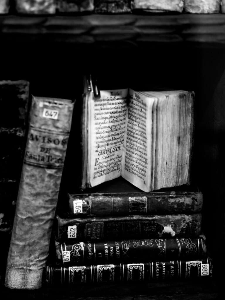 Biblioteca de Santa Teresa