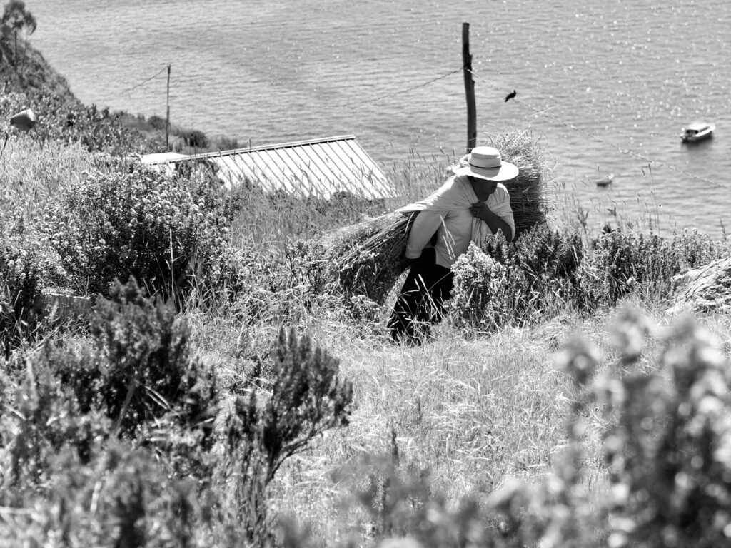 Trabajos en el campo