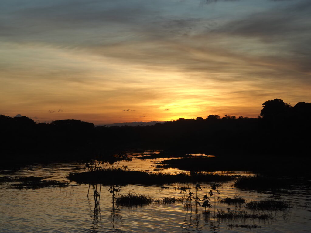 Atardecer en el Amazonas