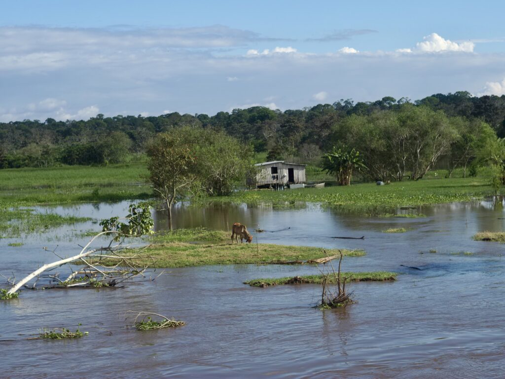 Crecida de las aguas