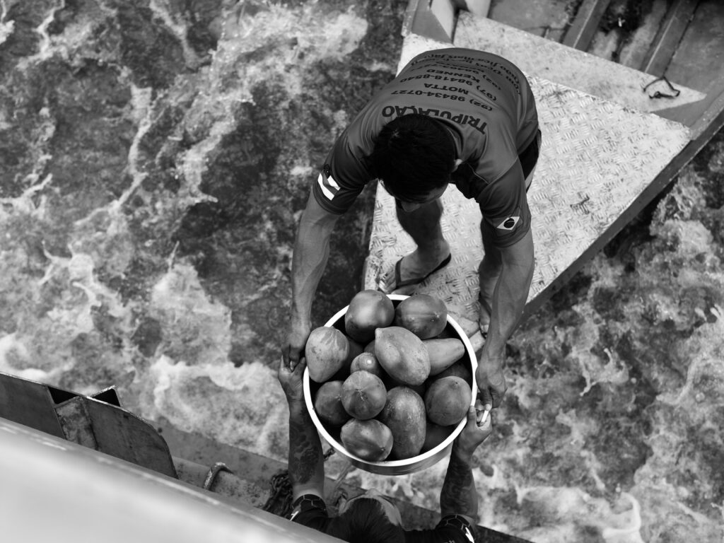 Provisiones para el desayuno