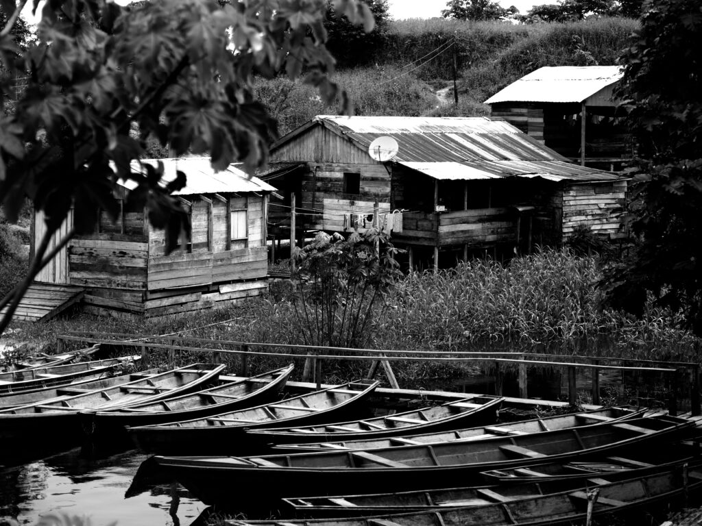 Orillas del Río Amazonas