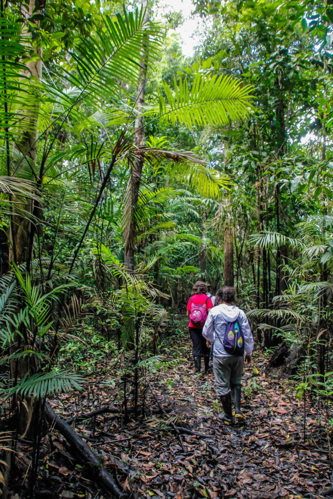 Trekking en el Amazonas