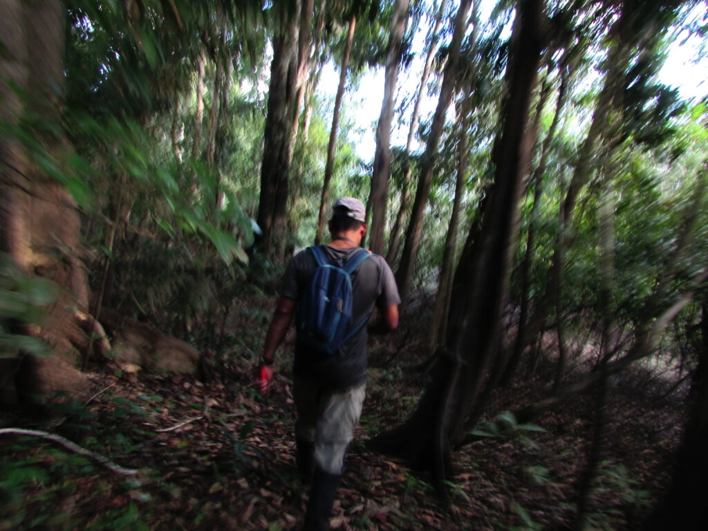Caminata desde el Muyuna Lodge en Iquitos