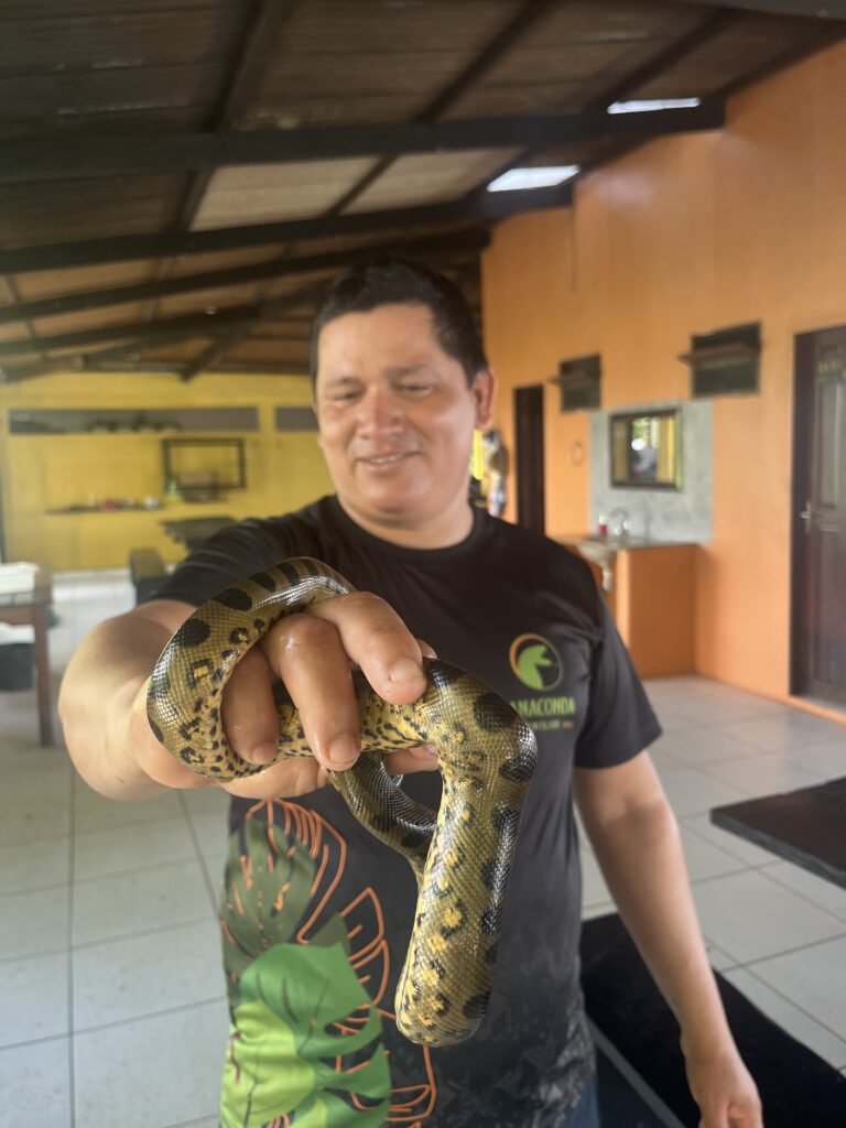 Anaconda en el Anaconda Lodge