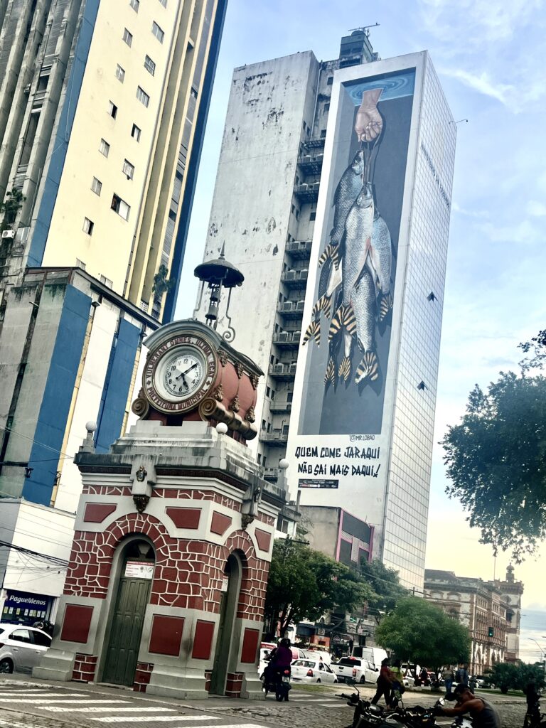 Centro histórico de Manaos
