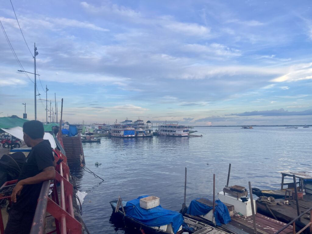 Puerto de Manaos