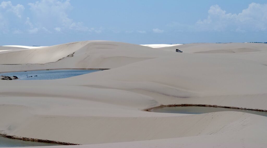 Entre las dunas