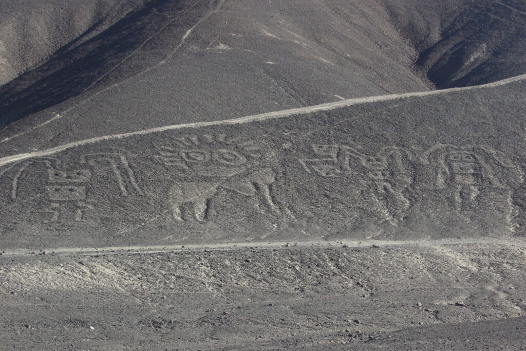 Geoglifos de Palpa