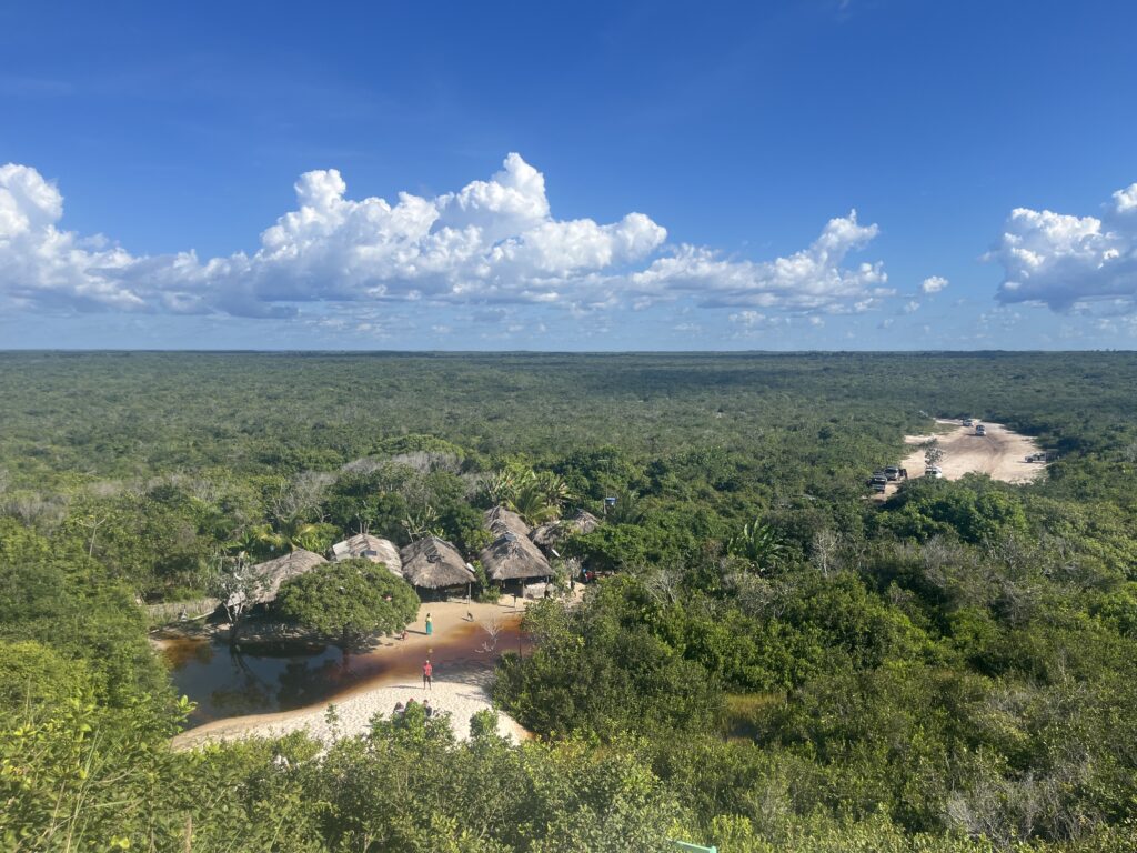 Manglares en Lençois Maranhenses