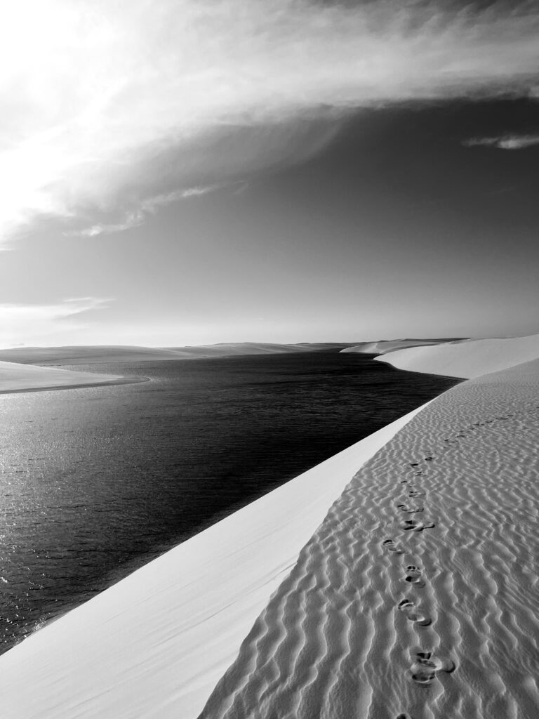 Luces y sombras