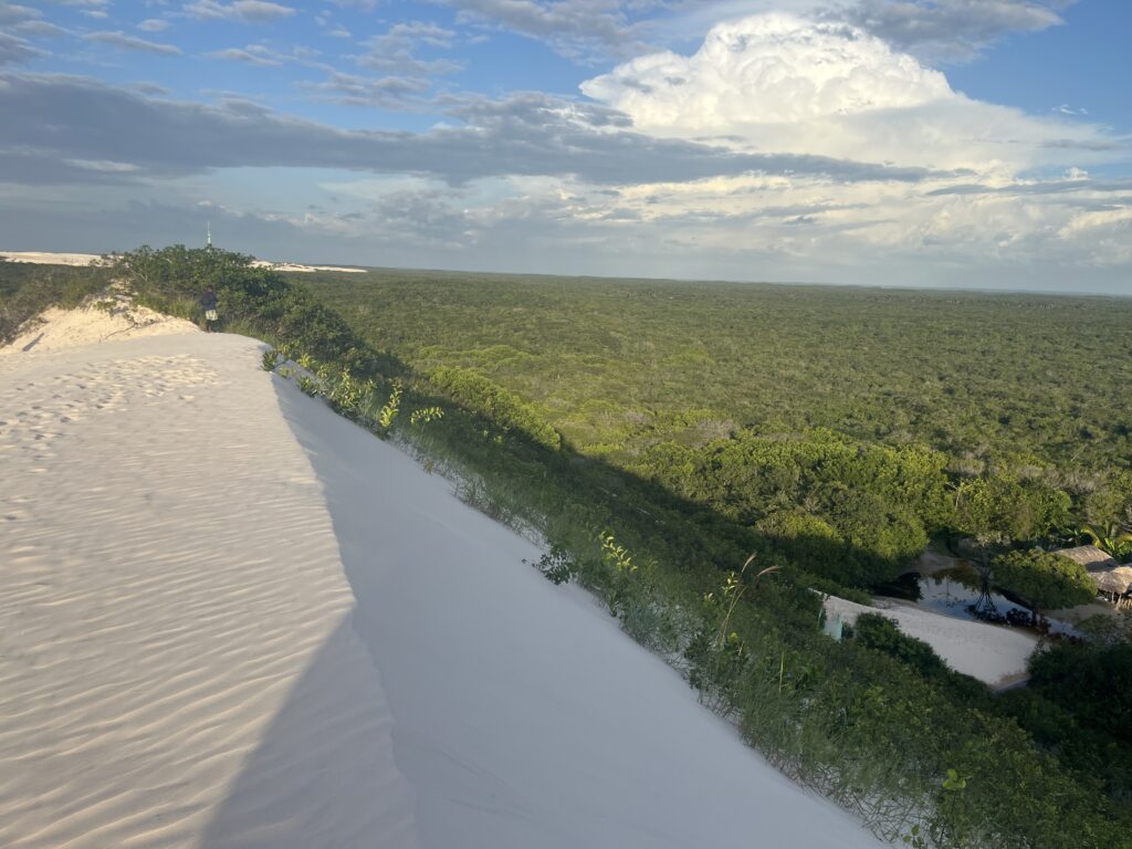 Choque de dunas y manglares