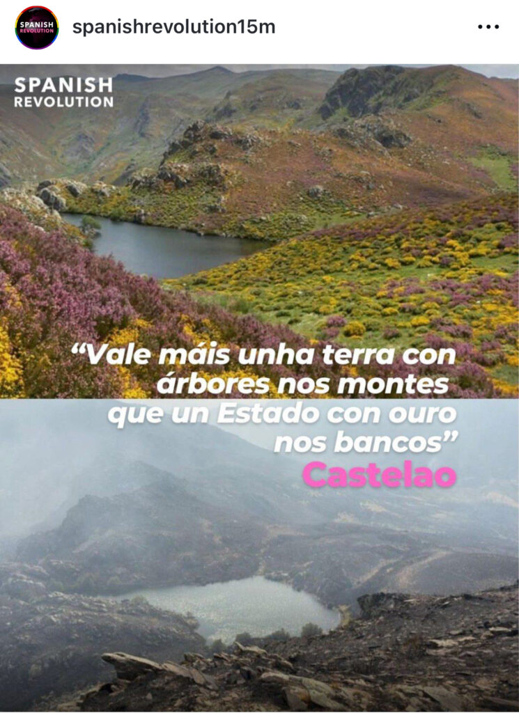 Vale más una tierra con árboles en los montes que un estado con oro en los bancos