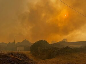 Incendio en Cerezal de Puertas