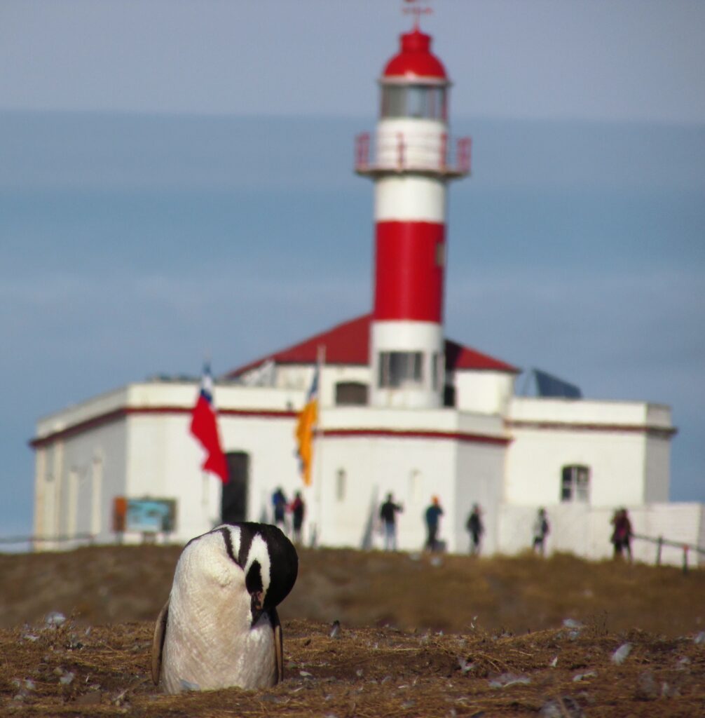 Faro de Isla Magdalena