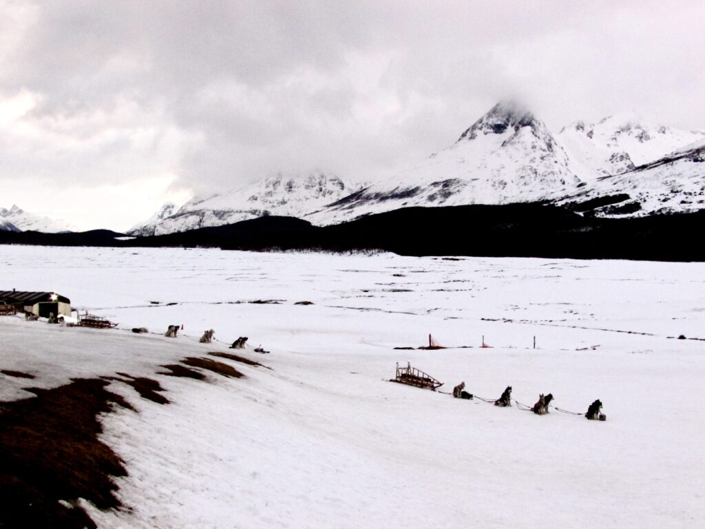 Trineos de perros en Tierra de Fuego