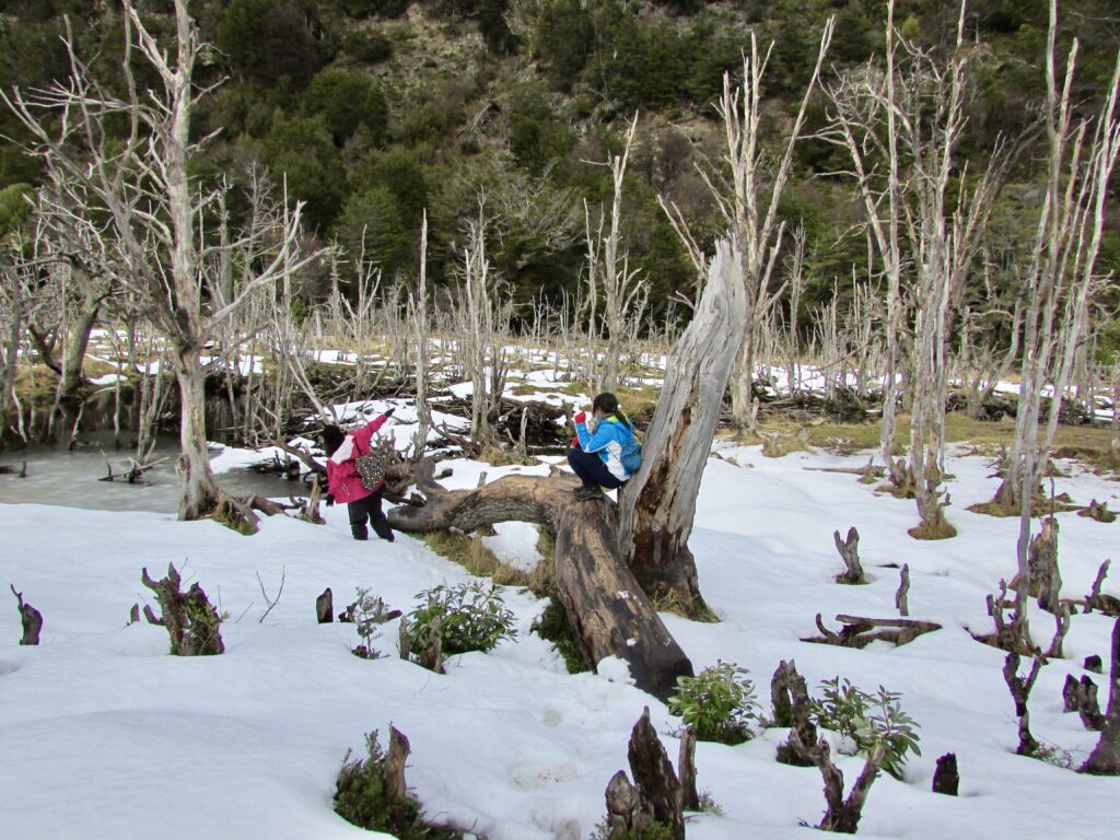 Trekking en el parque nacional Tierra de Fuego