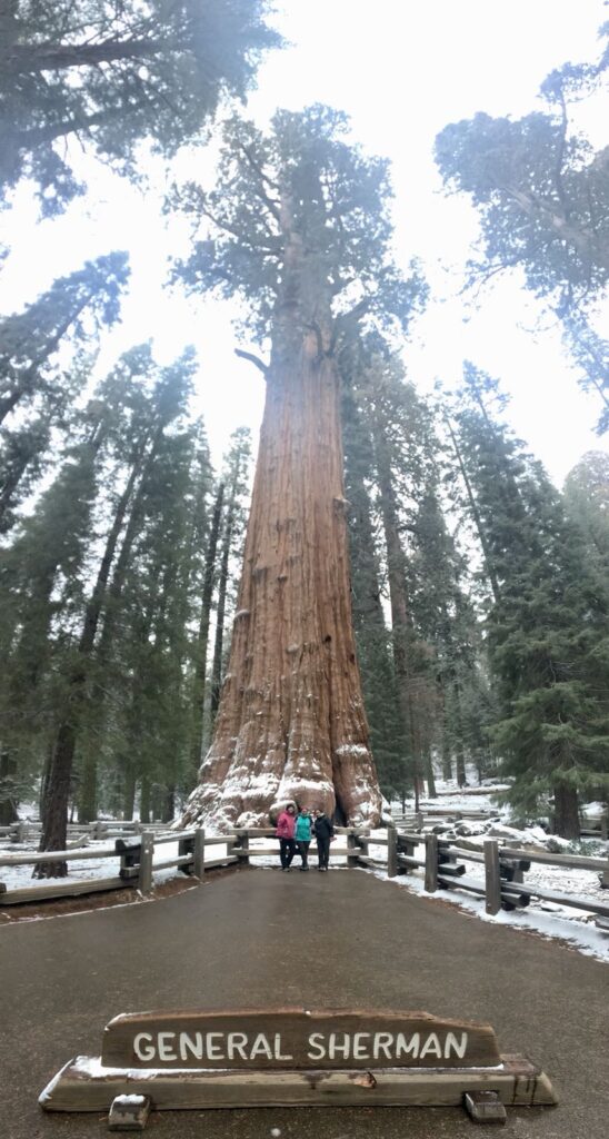 La imponente General Sherman