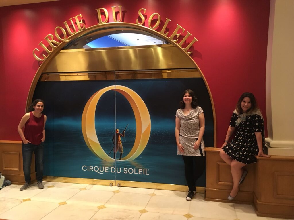 O, Cirque du Soleil