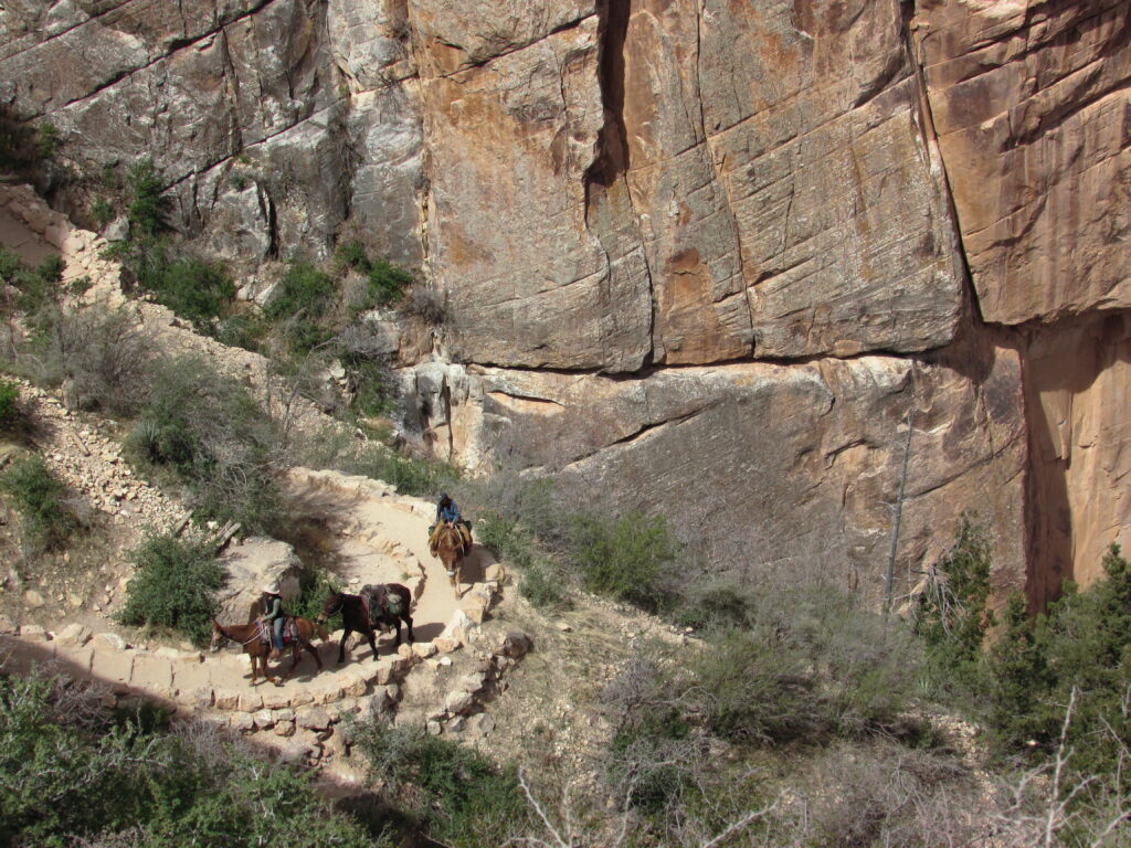 Trekking en el Gran Cañón