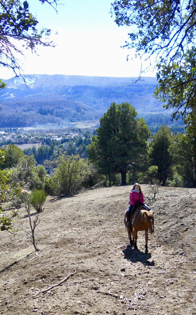 A caballo en los Andes