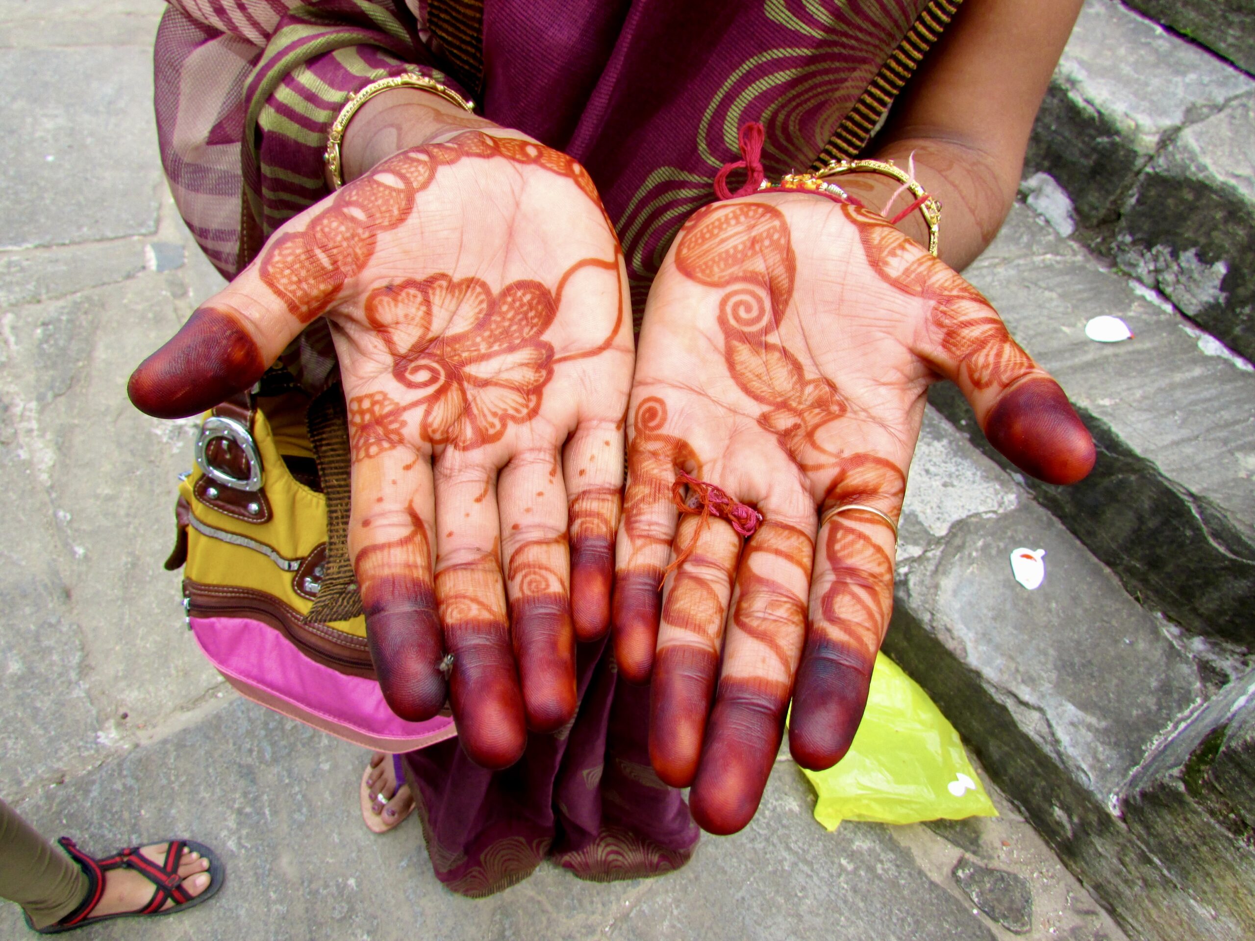 3 semanas en India