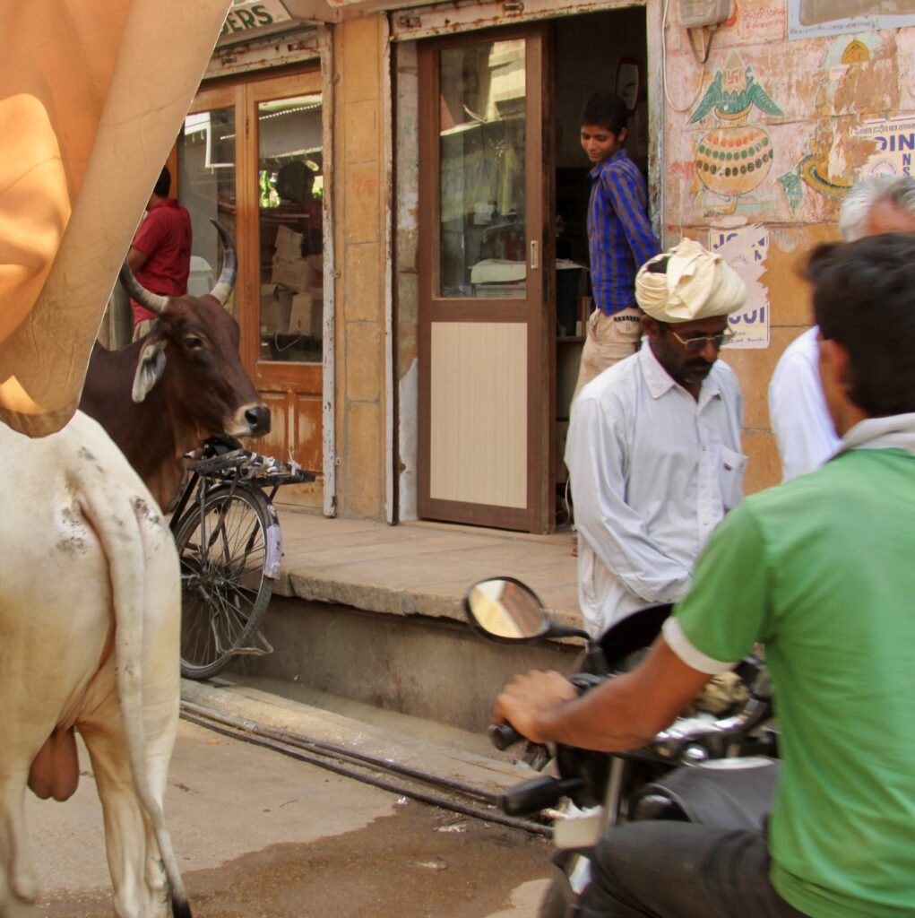 Calles de Jaisalmer